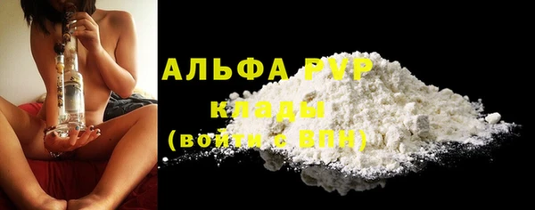 спиды Иннополис