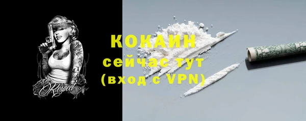 соль курить ск Инсар