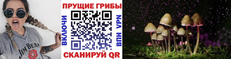 Купить закладки  Высоковск  Псилоцибиновые грибы Psilocybine cubensis 